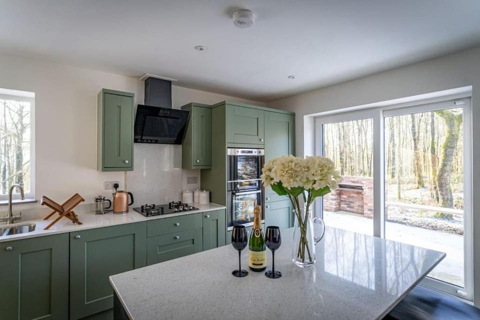 Kitchen or kitchenette, oven, pet friendly, stove