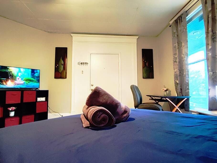 Zen Haven 1- Downtown Retreat with Queen Bed Apartment in Indianapolis
