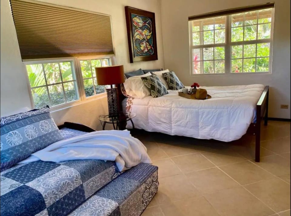 Los Mangoes Bed and Breakfast in Hopkins