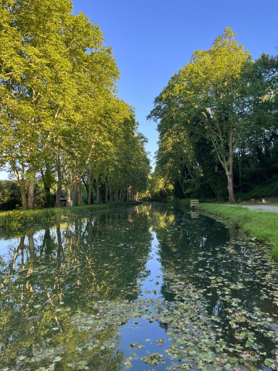 River view