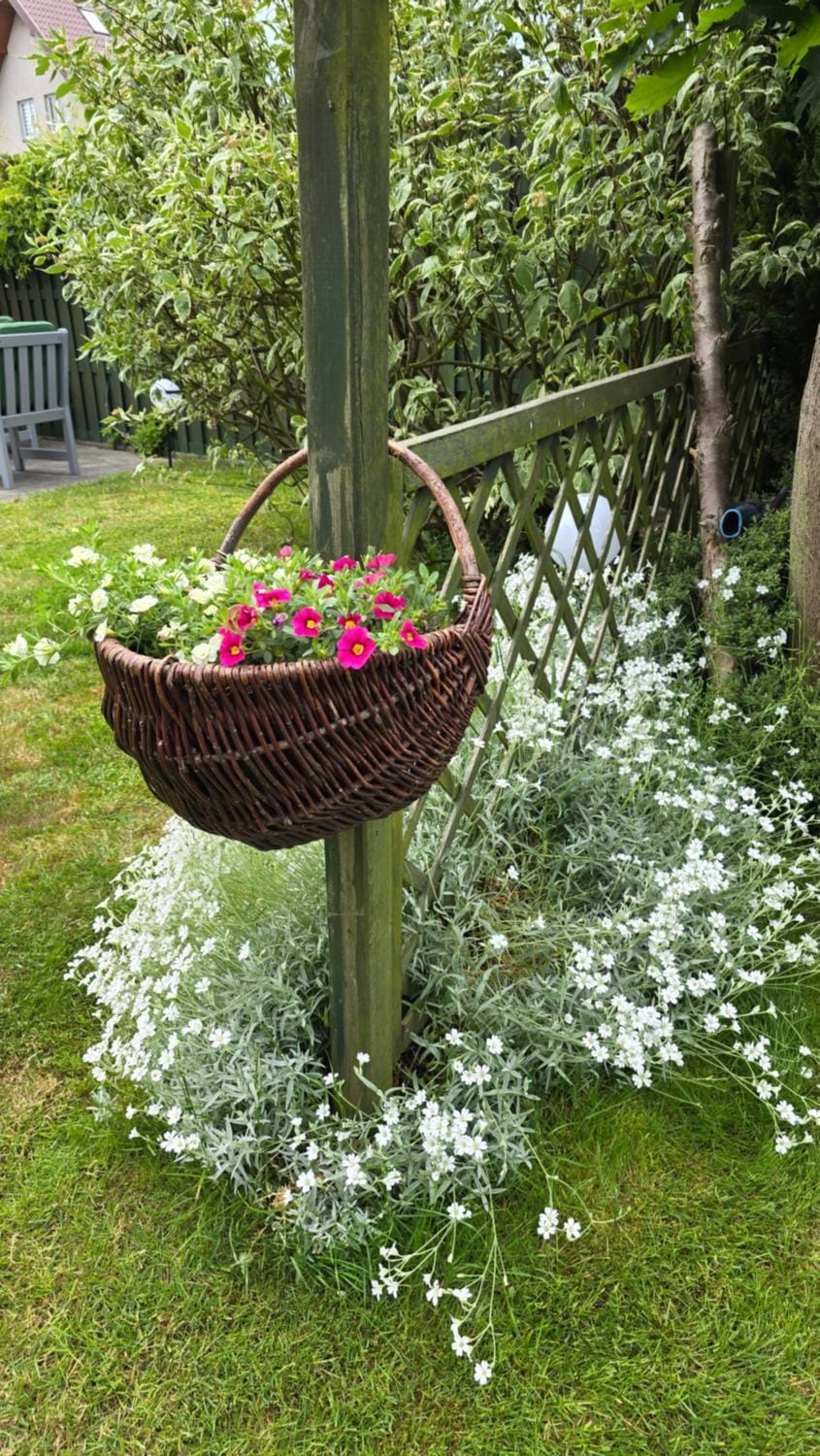 Garden, Garden view