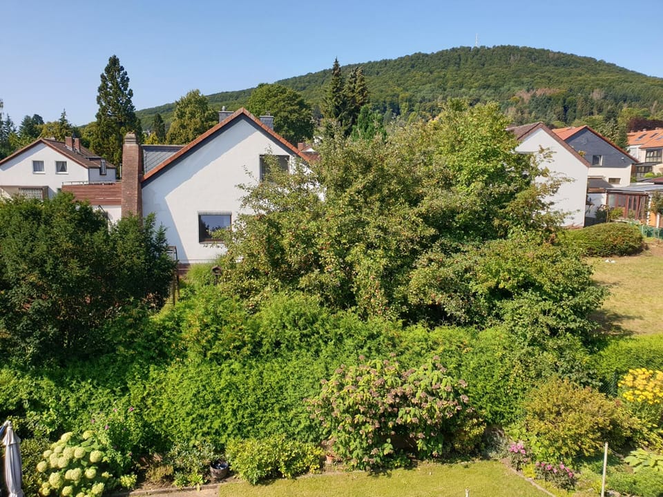 View (from property/room), Garden view