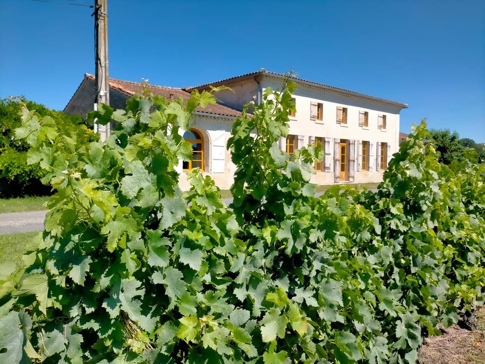 Château Fongiras 11 personnes Médoc House in Nouvelle-Aquitaine