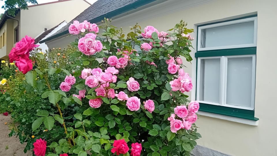 Ferienhaus Anna House in Austria