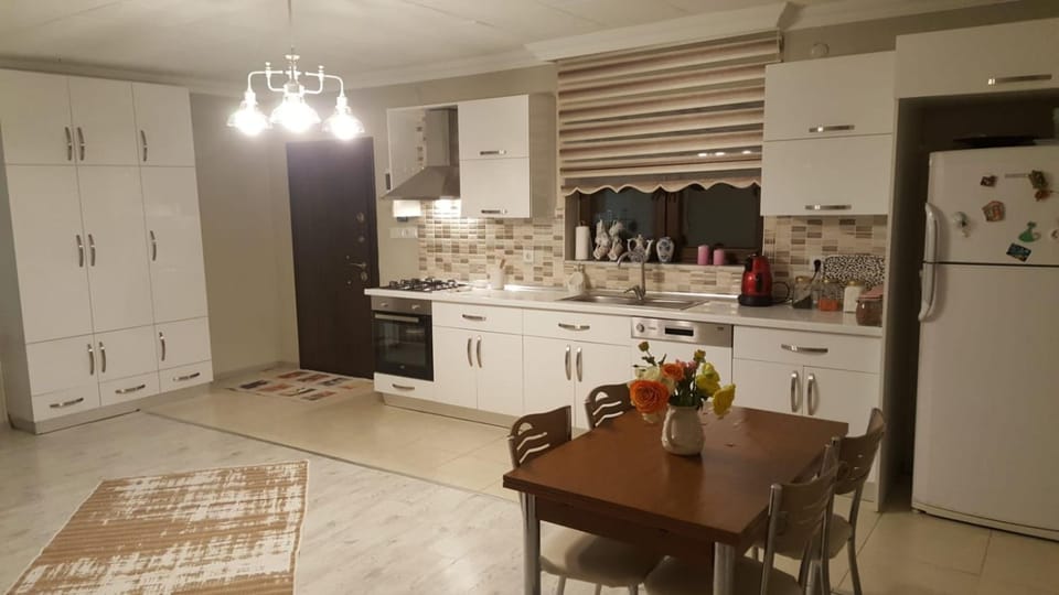 Kitchen or kitchenette, Dining area, dishwasher, oven, stove