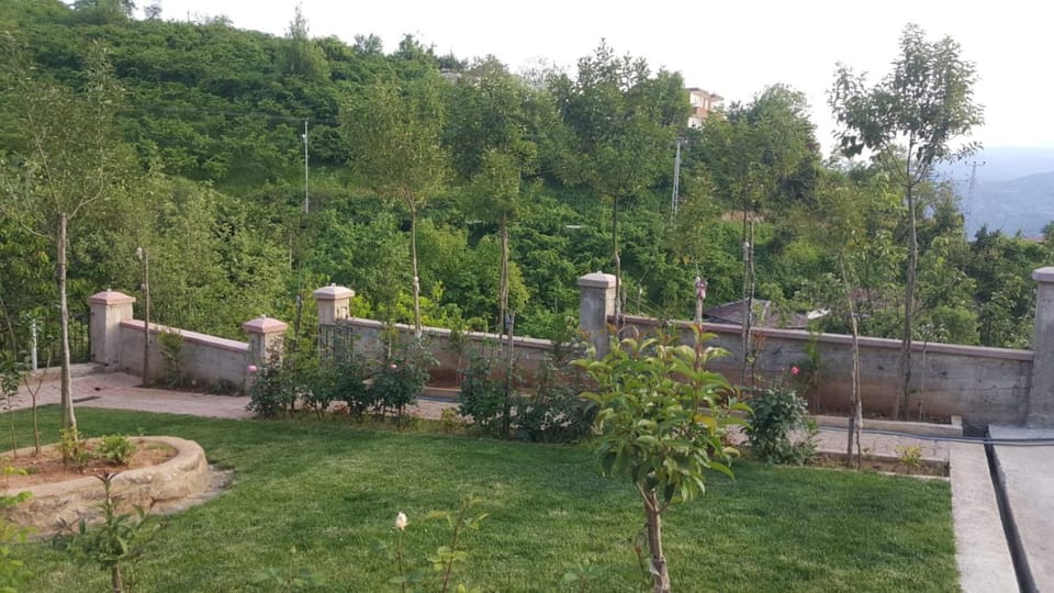 Spring, Day, Natural landscape, Garden, Garden view, Mountain view