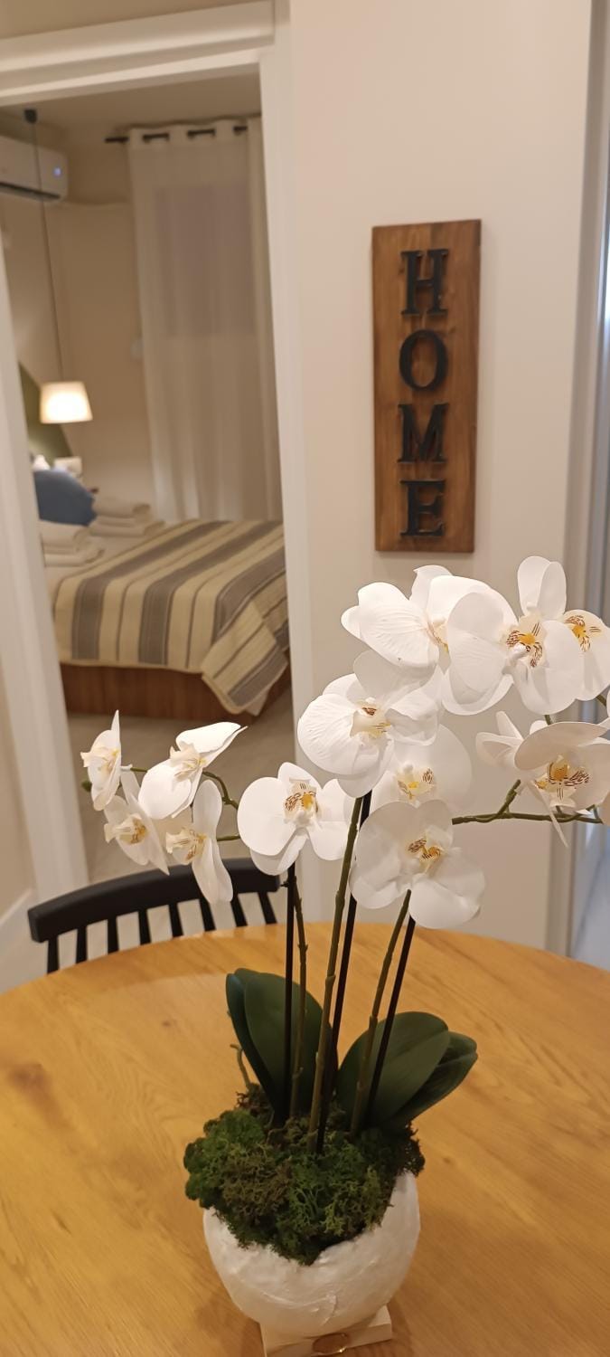 The roots of Parthenon Apartment in Athens
