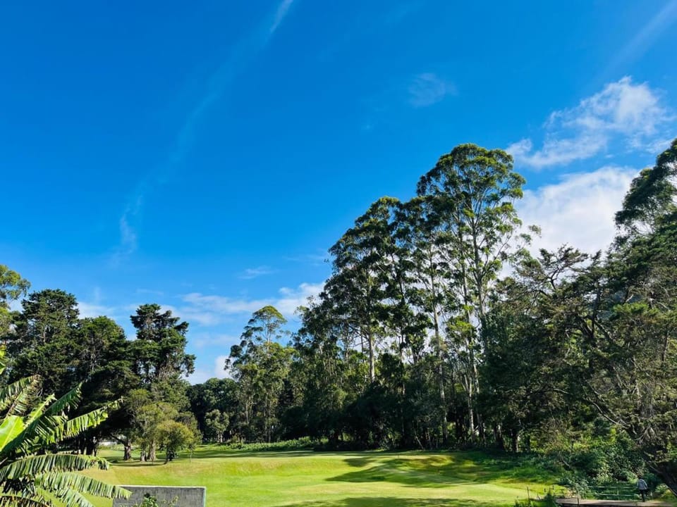 Golfcourse