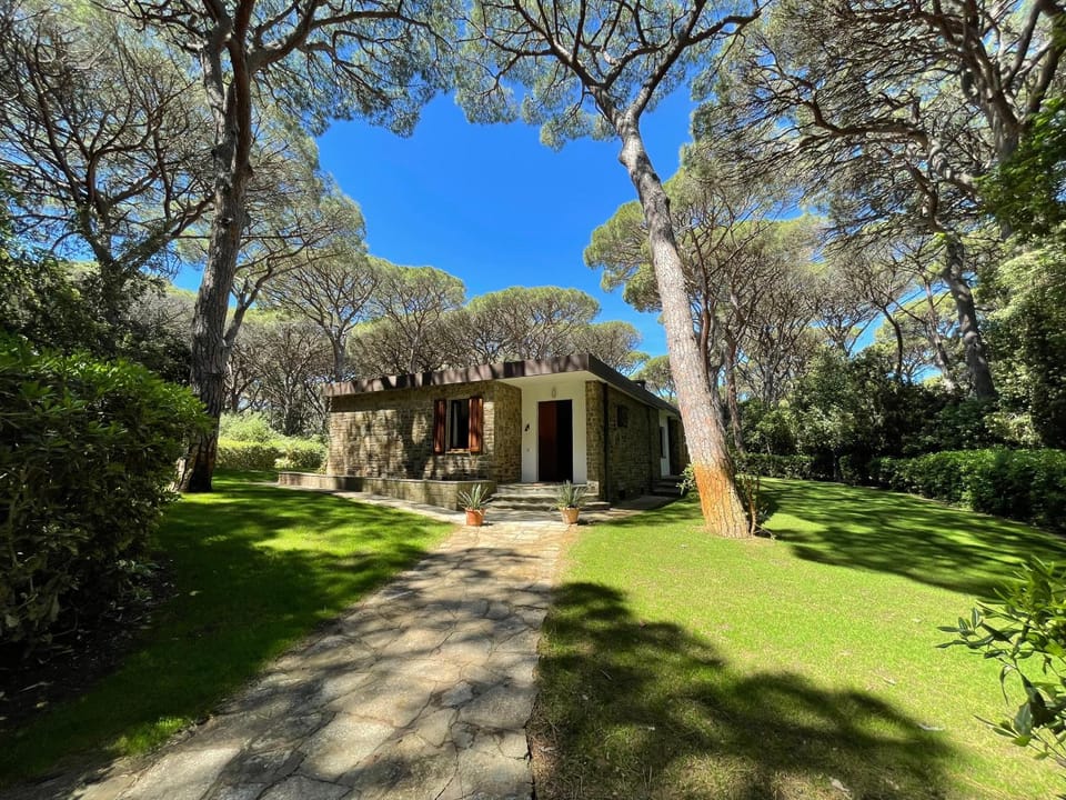 Property building, Garden, Garden view