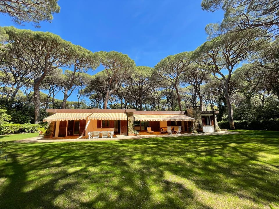 Property building, Garden, Garden view