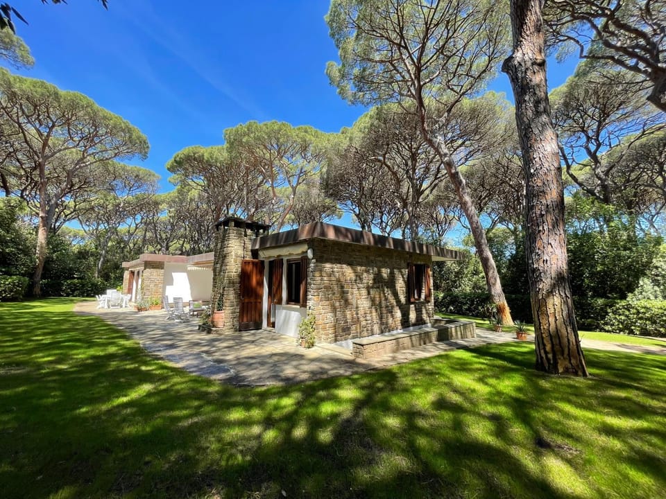 Property building, Garden, Garden view