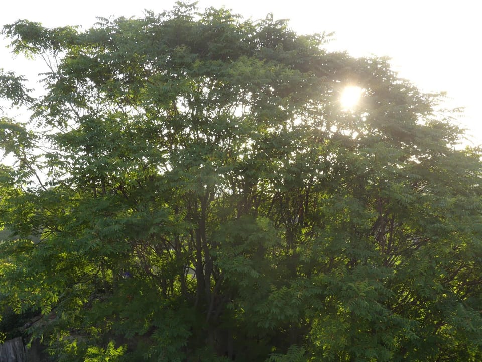 Natural landscape