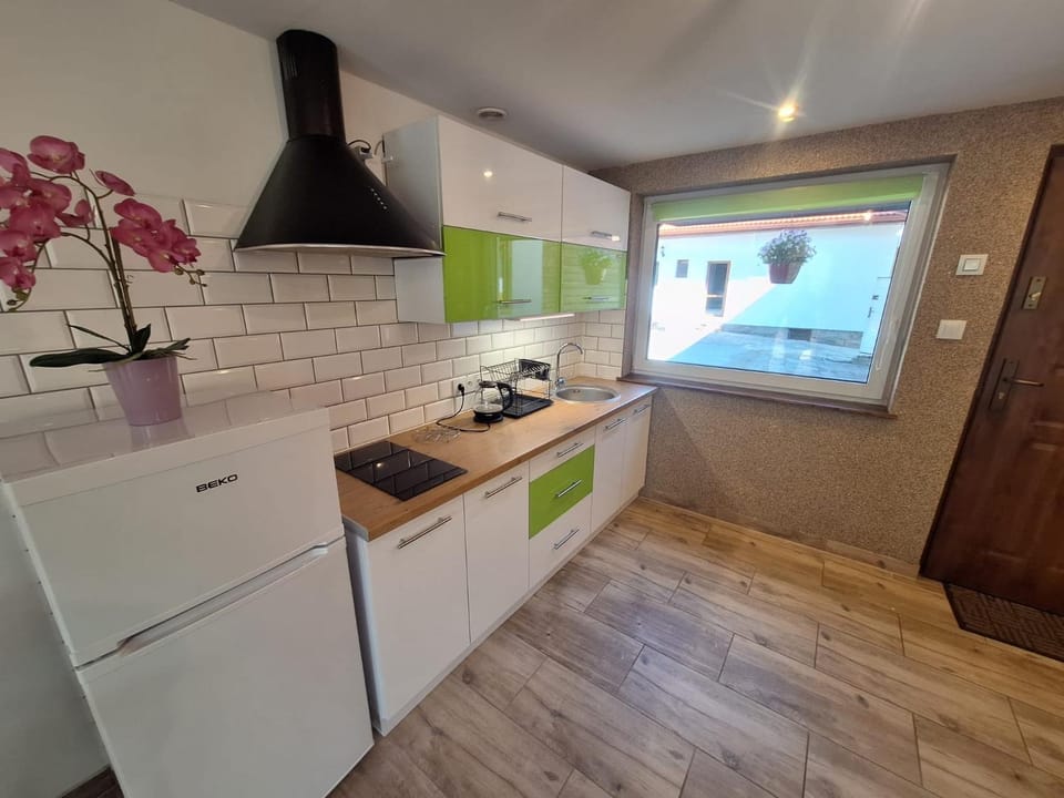 Kitchen or kitchenette, oven, pet friendly, stove