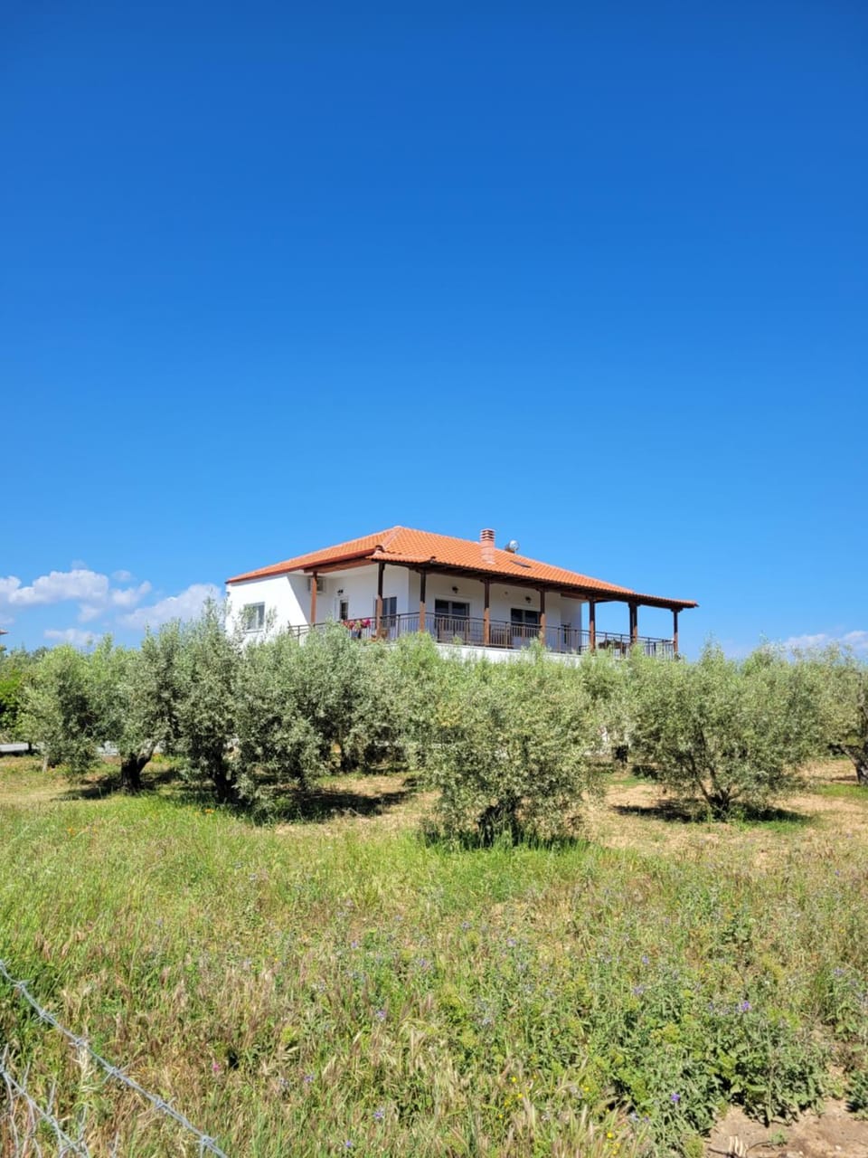 Property building, Natural landscape, Garden, Garden view