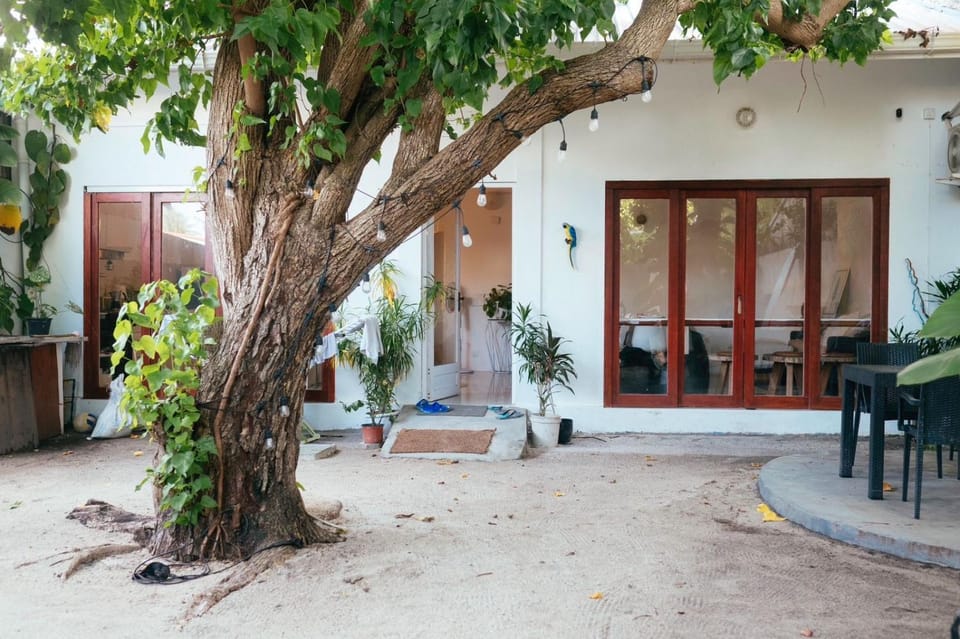Patio, Facade/entrance, Garden