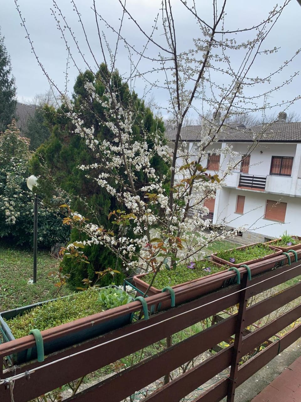 Via Degli Dei Valserena Apartment in Emilia-Romagna
