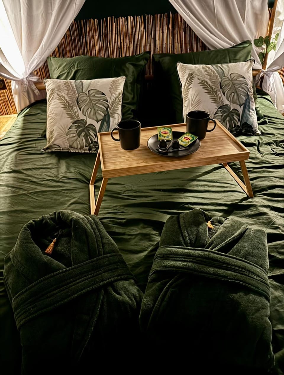 Bed