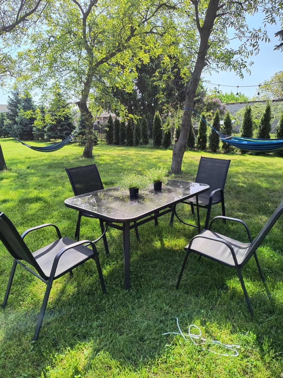 Garden view