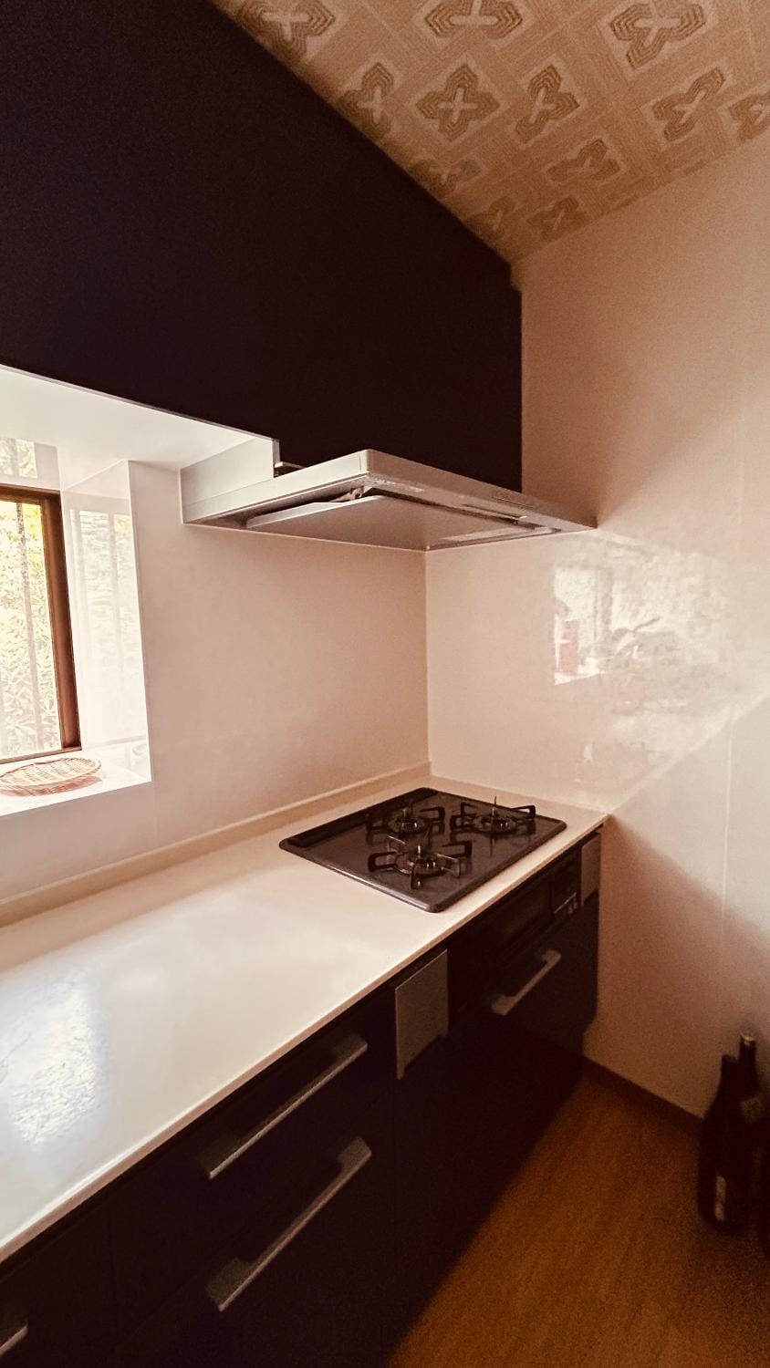 Kitchen or kitchenette, stove
