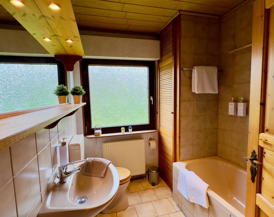 Shower, Toilet, Bathroom, Bath