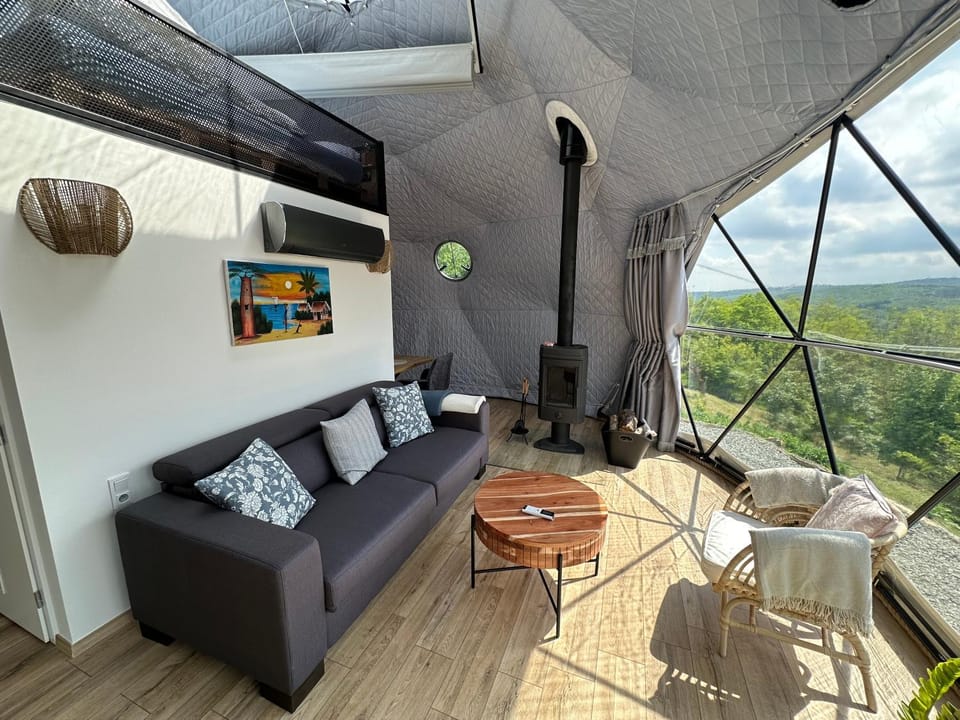 Living room, fireplace, air conditioner