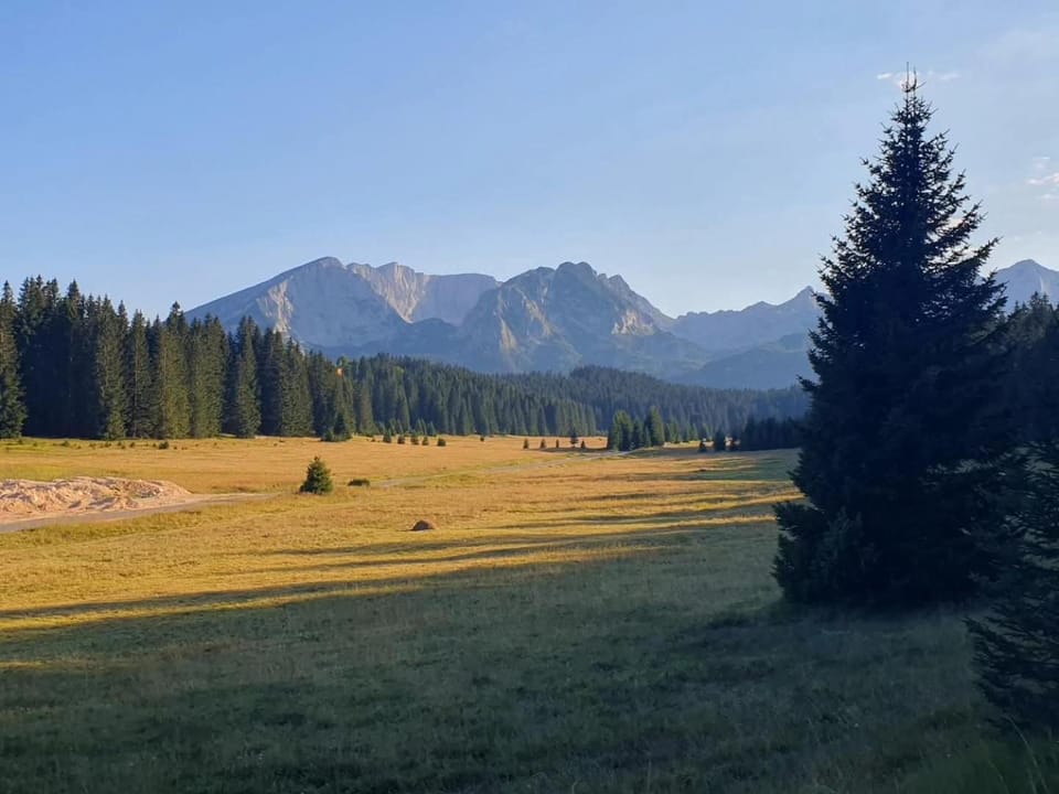 View (from property/room), Swimming pool