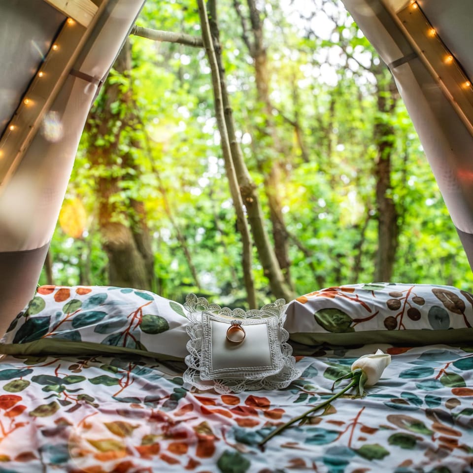Spring, Bed, Garden, View (from property/room), Photo of the whole room, Bedroom, Garden view