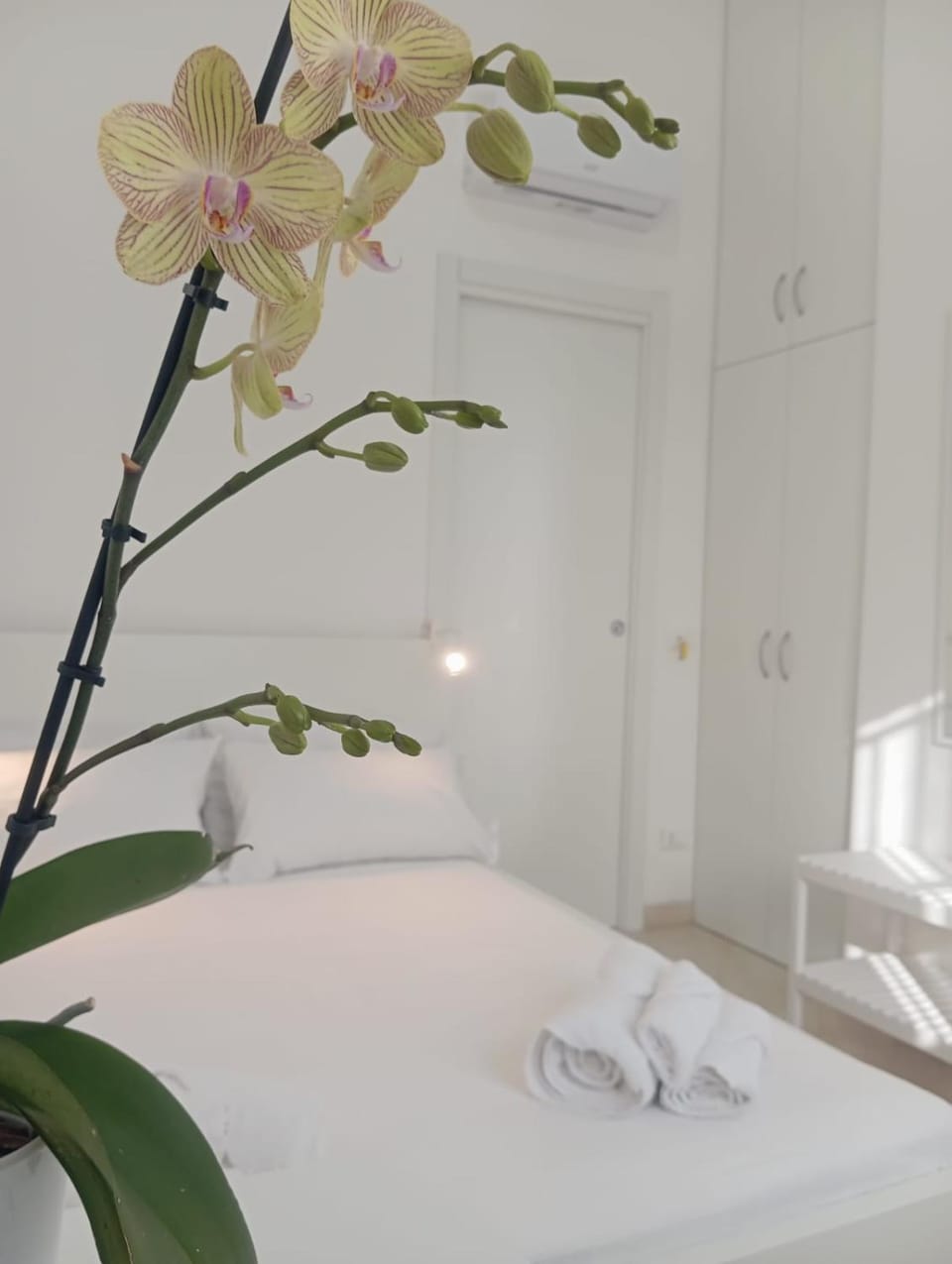 Loredana Affittacamere Bed and Breakfast in Sicily