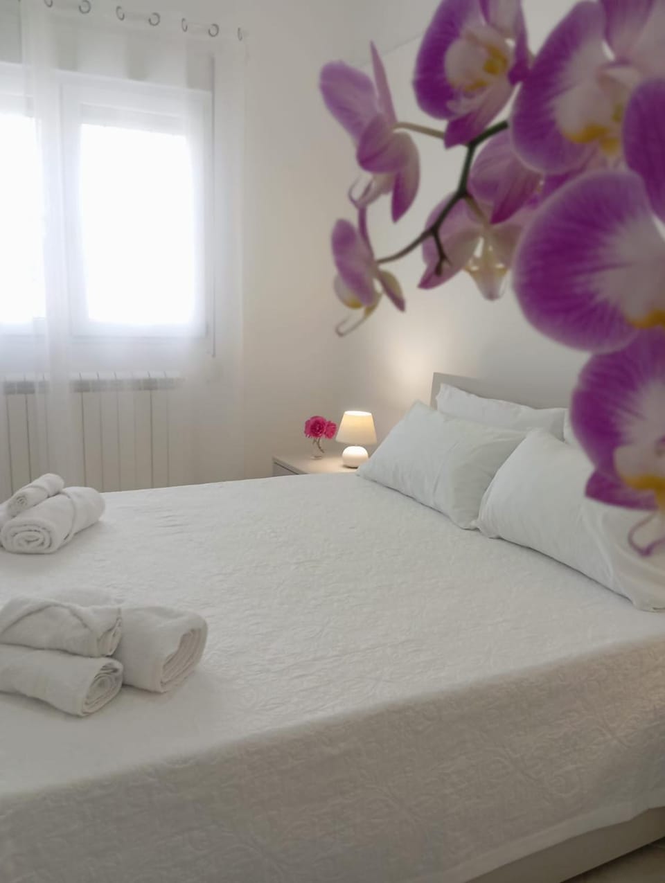 Loredana Affittacamere Bed and Breakfast in Sicily