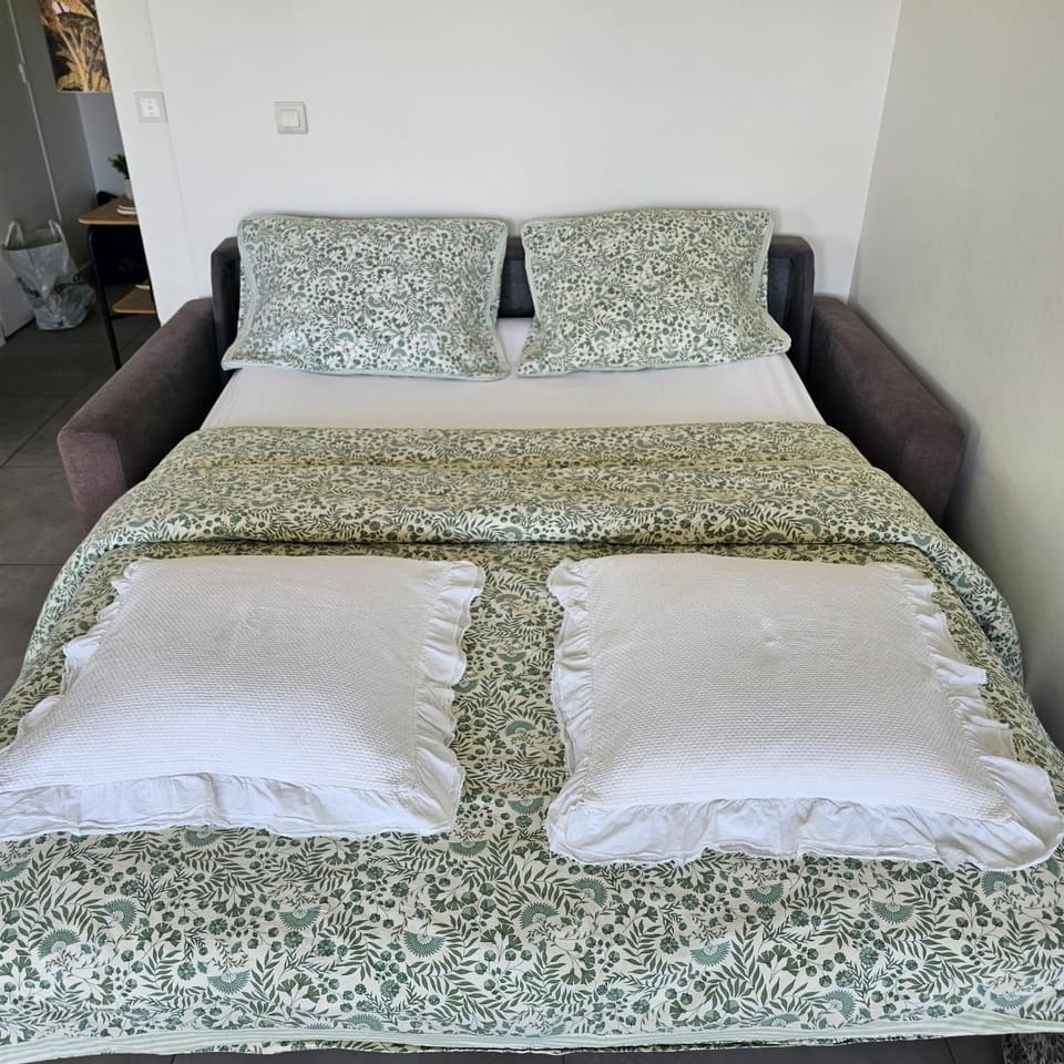 Studio Cannes le Val D'or Chez Lisa Apartment in Cannes