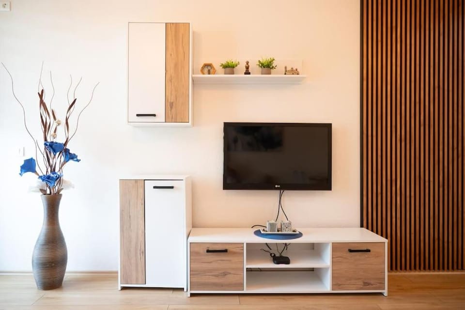 TV and multimedia