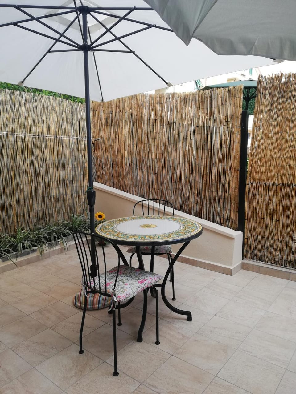Patio, Balcony/Terrace, Dining area
