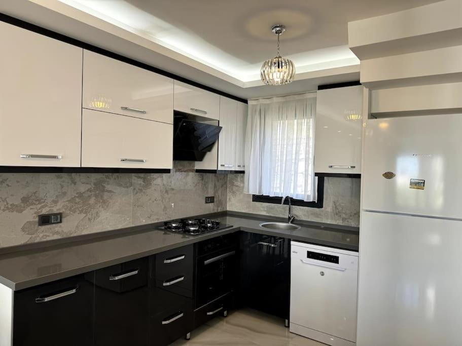 Kitchen or kitchenette, dishwasher, oven, stove