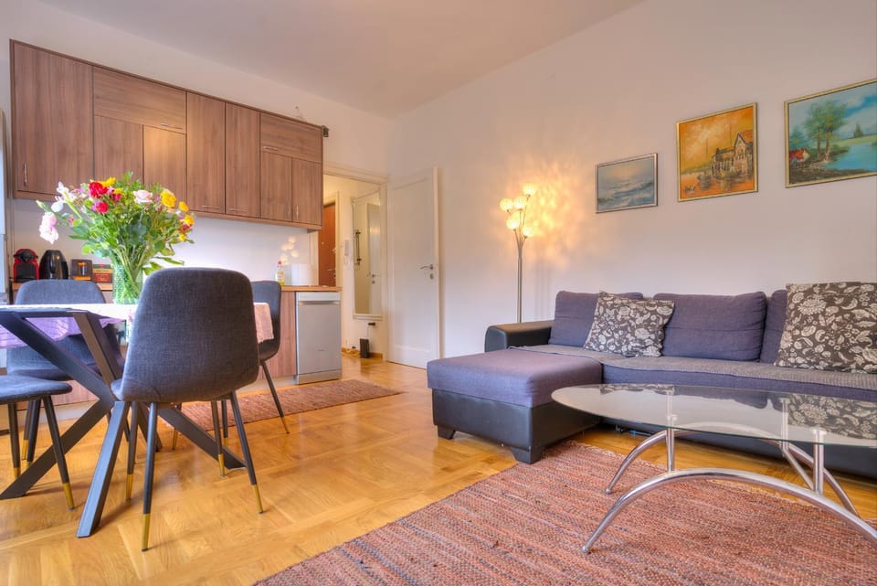 Vračar Central Apartment Apartment in Belgrade