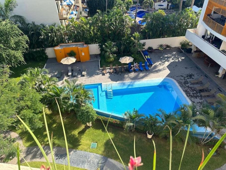 Garden, Swimming pool