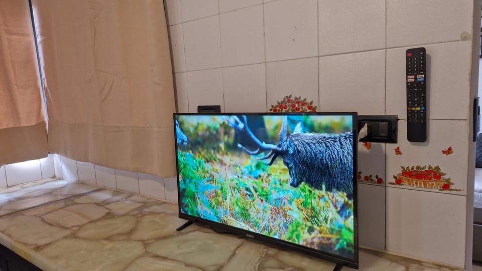 TV and multimedia