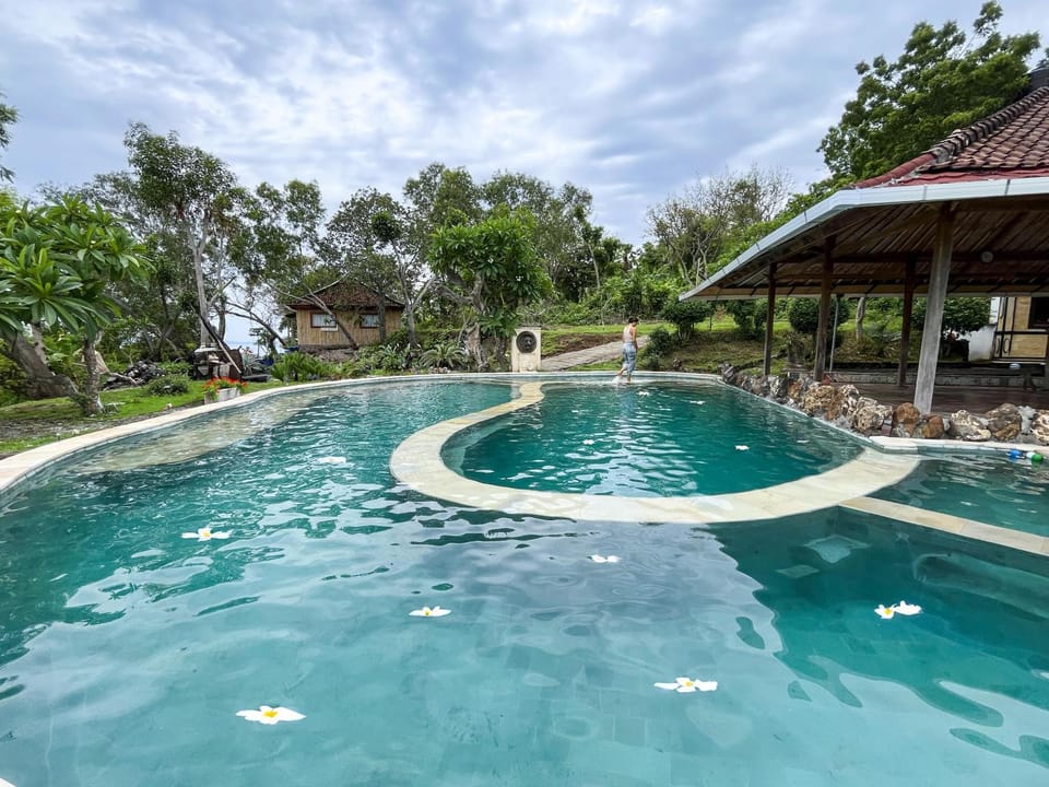 Garden, Garden view, Swimming pool