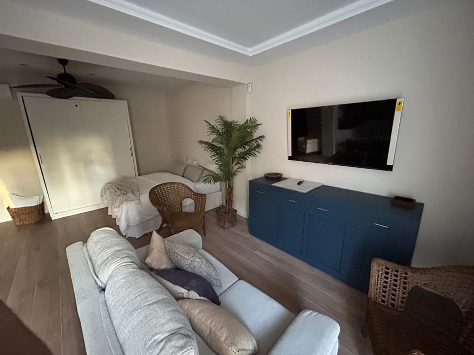 Pintor Espinosa 3 loft Apartment in Cordoba
