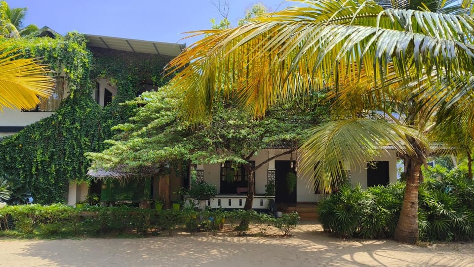 Property building, Day, Garden, Garden view
