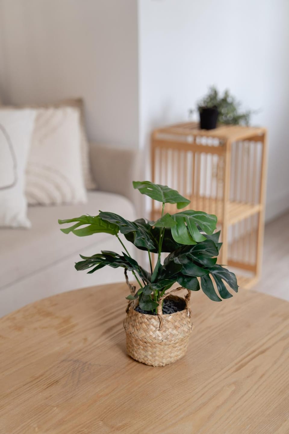 Baélia Casa Isola Apartment in Alicante