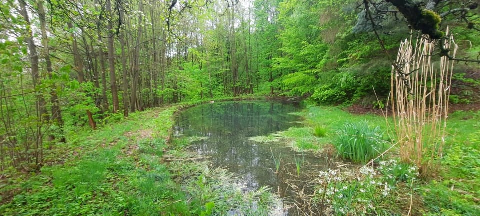 Domek Zielony Dzięcioł Chalet in Lower Silesian Voivodeship