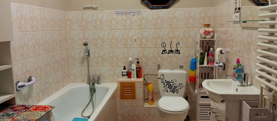 Toilet, Bath, towels