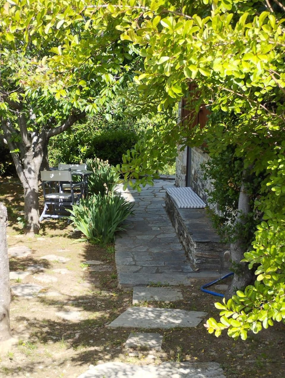 Garden view