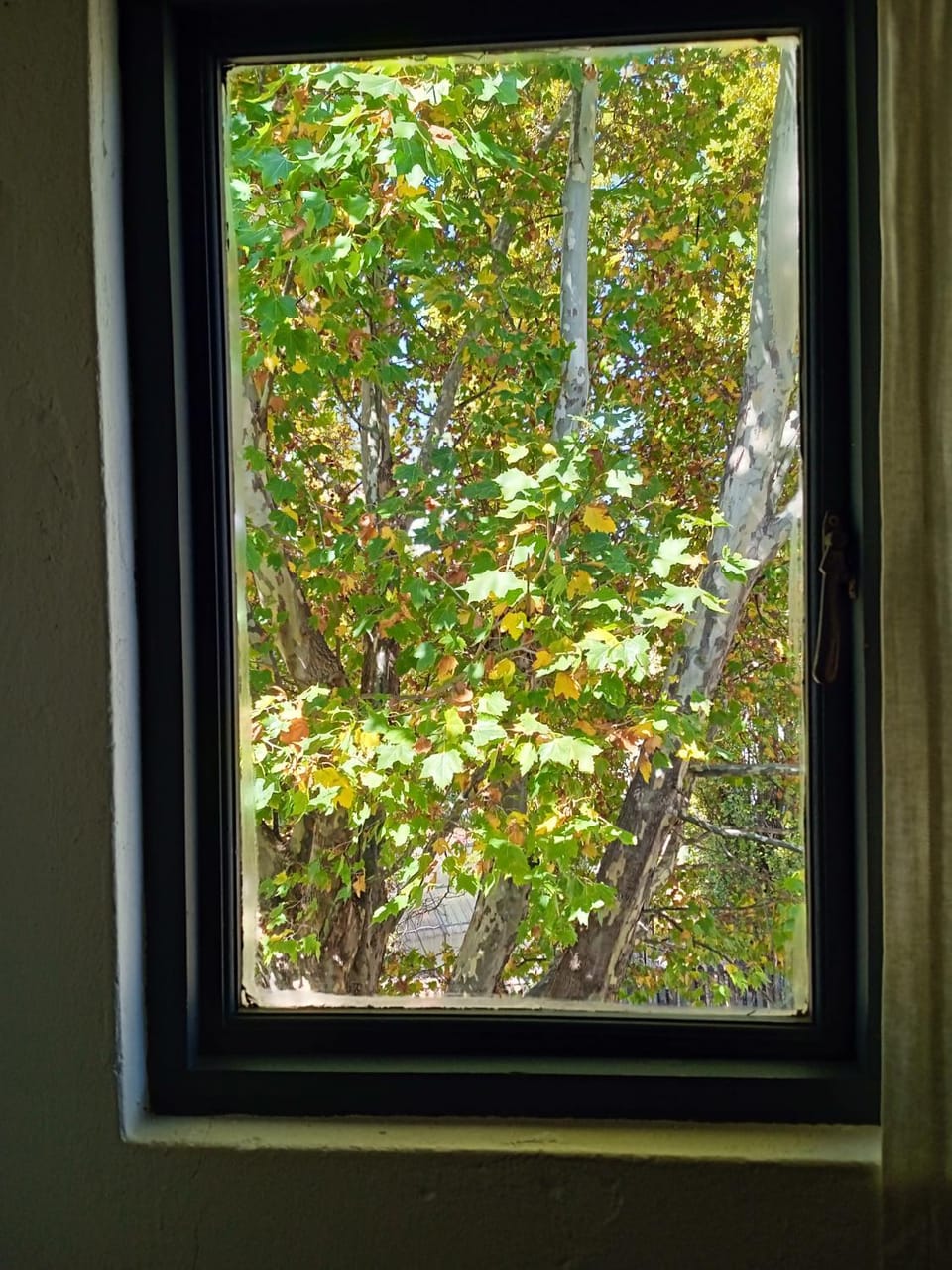 Spring, Garden view