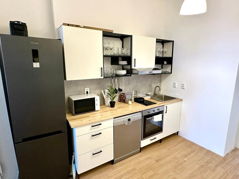 Kitchen or kitchenette, dishwasher, oven, stove