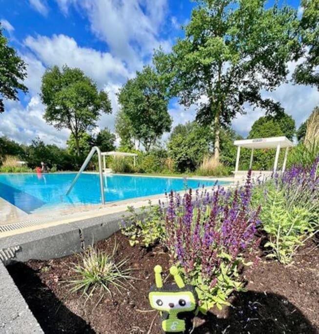 Natural landscape, Pool view, Swimming pool