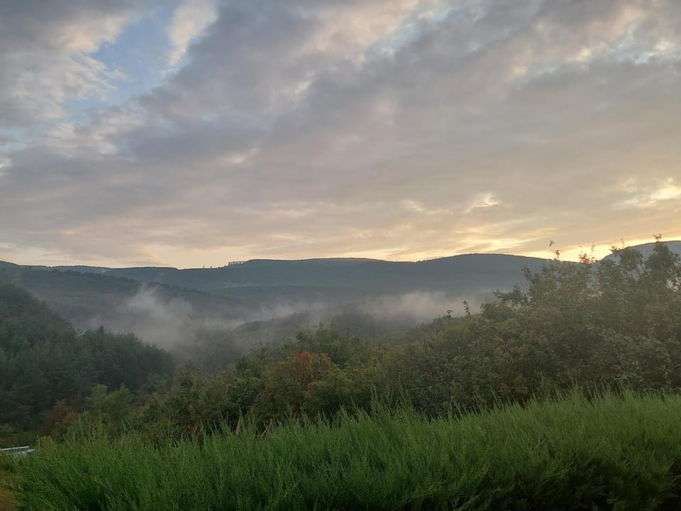 Mountain view