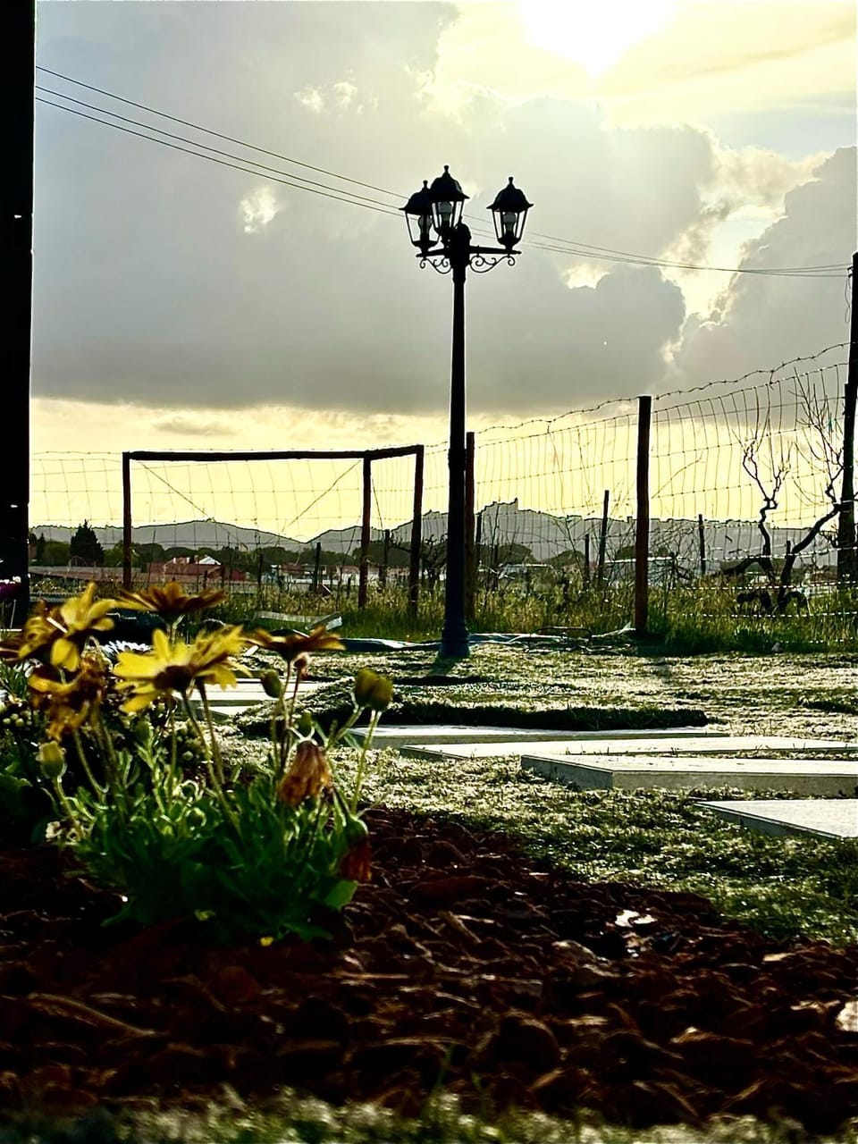 Spring, Natural landscape, Garden view