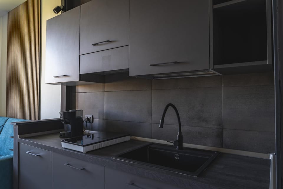 Coffee/tea facilities, Kitchen or kitchenette, minibar, stove, toaster, kitchen