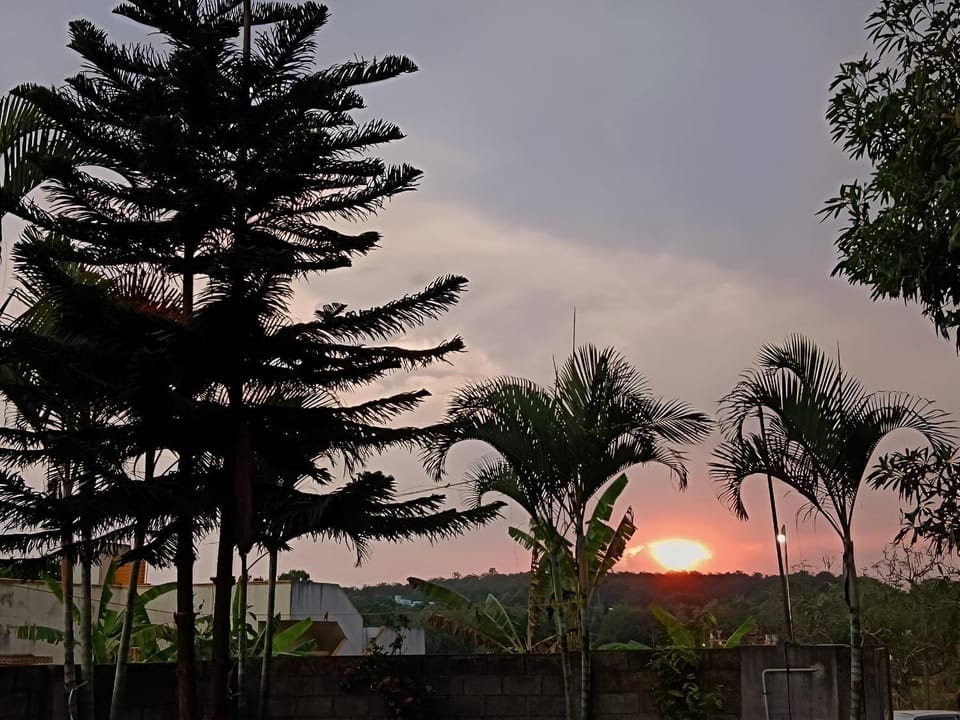 Natural landscape, Garden, Sunset